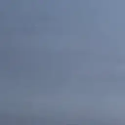 orelllek