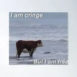 peelleep