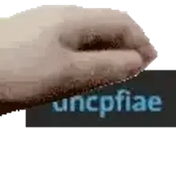 cpfiae