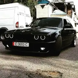 xzshkin