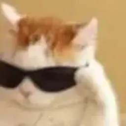 blyayadanya