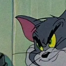 AminVolf
