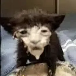 QulifERORR