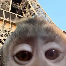 jqbmiforT