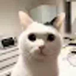 qwertycisa