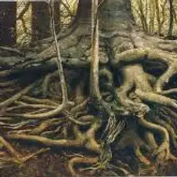 КореньАира