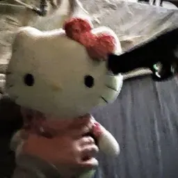 dusokushi