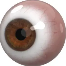 bob1234zombie