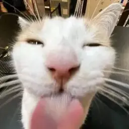 астралик