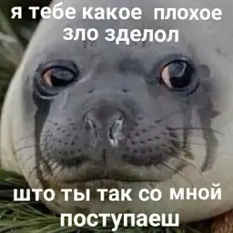 sudartop