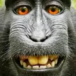 theniv4ik