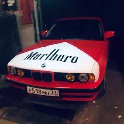molodoysampeer