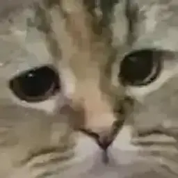Kabutocho