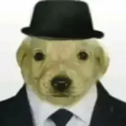 kazemYT