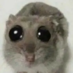 Rontik7