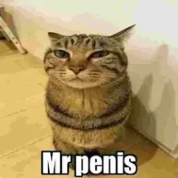 Kdjdndjdkdkdk