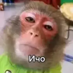 ssartino2