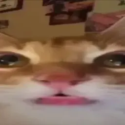 speczx
