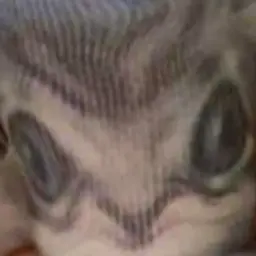Shhhhhhhh