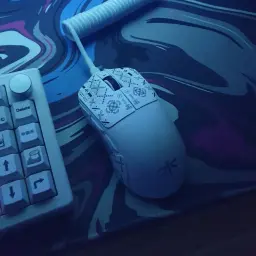 N1teee