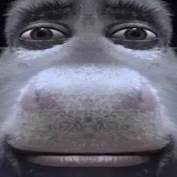 chichaas