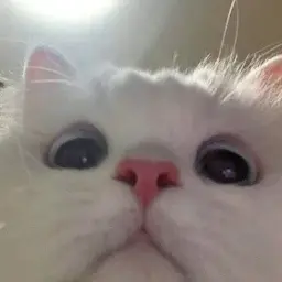 HOMKASH