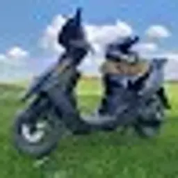 Kecum