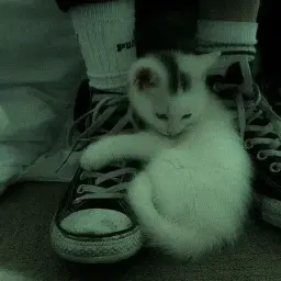 ололоол