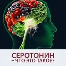 Seratonin