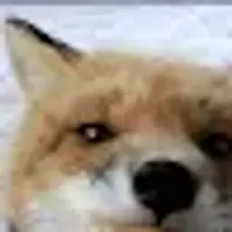 Mirkoo
