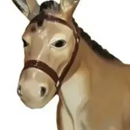 kroropuk