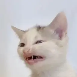 Mopocuk