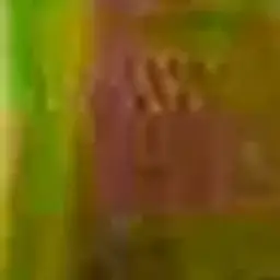 pachka95