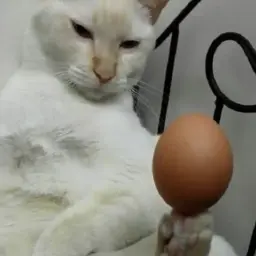 ArtemdeZ