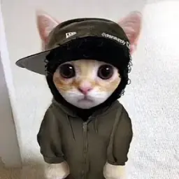 klklklghtgfhtrhg