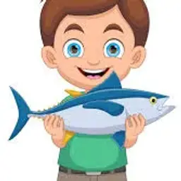 BigBigFISH