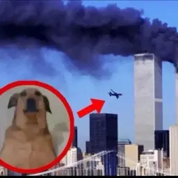 confyLZT