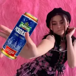 fscvvr