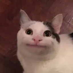 topik0