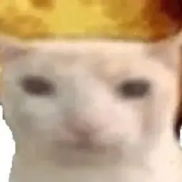 lxrdmeowas