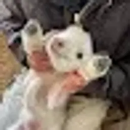 wqeqwedfasf