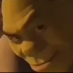 1x1x11