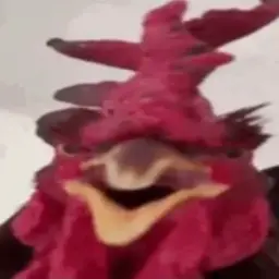 TE