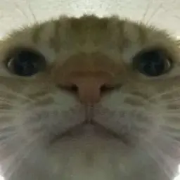 Lil_whipski