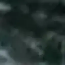 Dilshod7e7e77