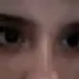 dimazikyeger