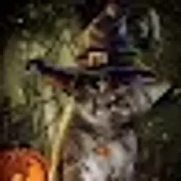 lirnmi