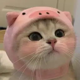 nu_takoe123