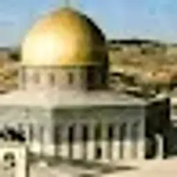 omarayyoub