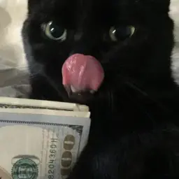 gfdghfdgfd